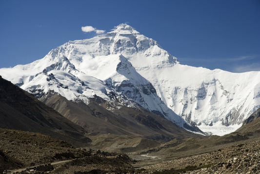 How to Test Shilajit