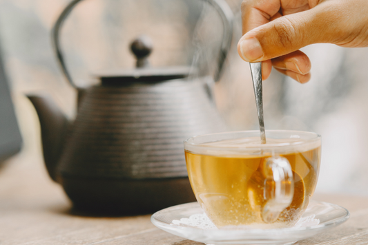 Comparing Shilajit and Ashwagandha Which One Might Suit You Best