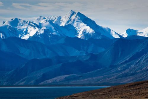 Himalayan authentic shilajit resin