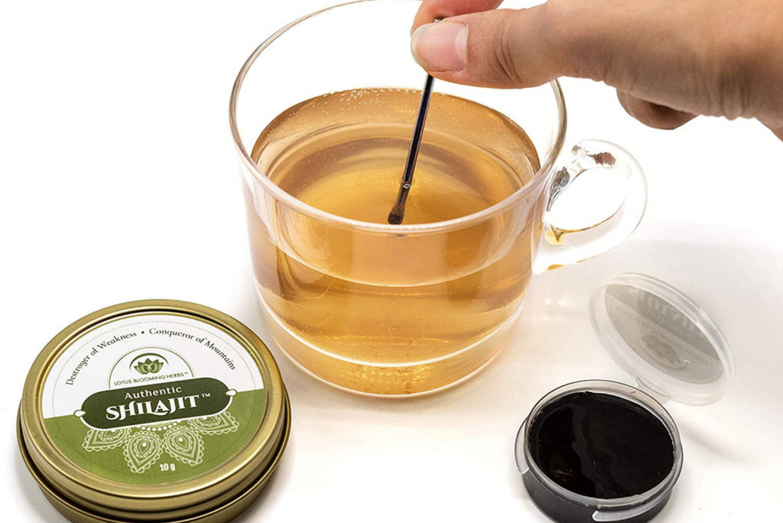 Authentic Himalayan Shilajit Resin - Yoga Nutrition