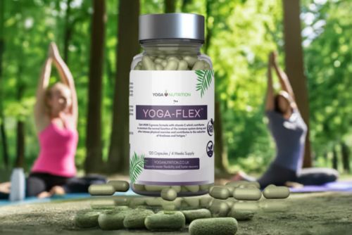 yoga supplement for flexibility and recovery MSM