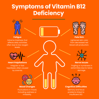 Visual representation of symptoms related to vitamin B12 deficiency, highlighting vitamin B12 liquid importance.