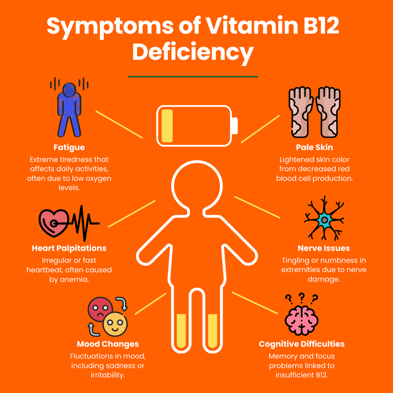 Visual representation of symptoms related to vitamin B12 deficiency, highlighting vitamin B12 liquid importance.